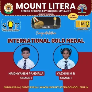 Read more about the article International of Gold medal