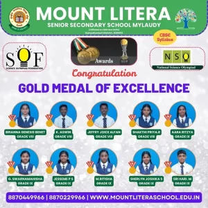 Read more about the article Gold Medal of Excellence