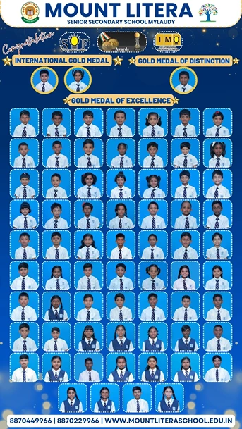 Read more about the article International Gold medal