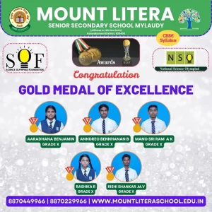Read more about the article Gold Medal of Excellence